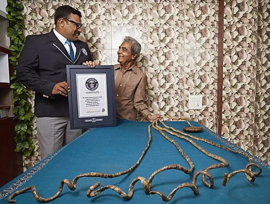 Шридхар Чиллал. Самые длинные ногти в мире Шридхар Чиллал. Самые длинные ногти в мире рекорд Гиннесса. Рекорд Гиннесса самые длинные ногти.