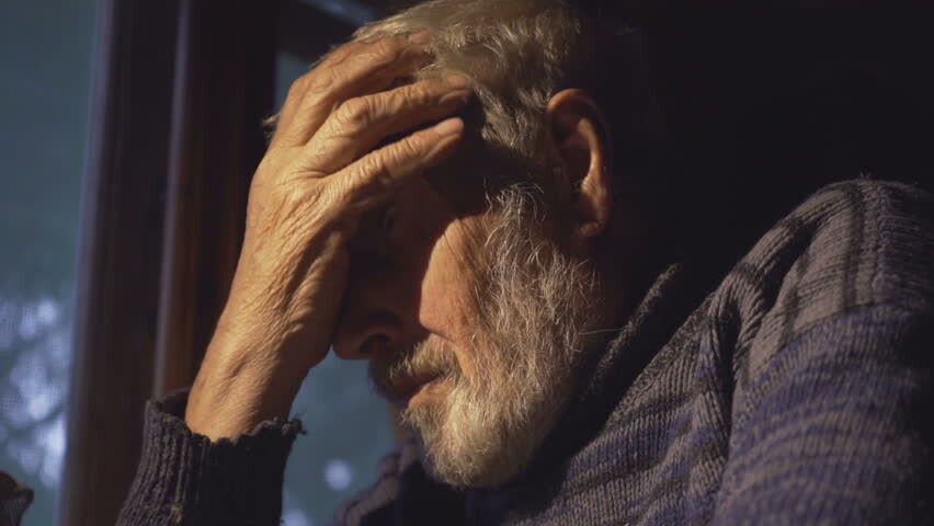 Фото: https://ak1.picdn.net/shutterstock/videos/19540141/thumb/12.jpg