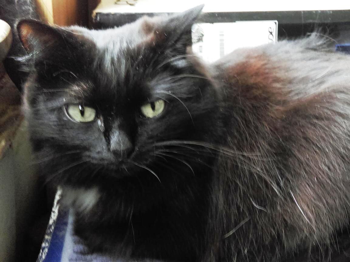 - Главное - строго смотреть на подчиненных!