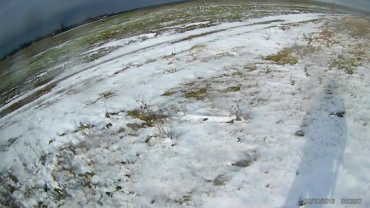 Фото А. Кузовкин