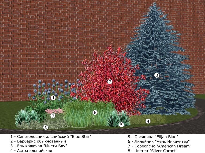 Миксбордер из хвойных и кустарников схемы вдоль забора