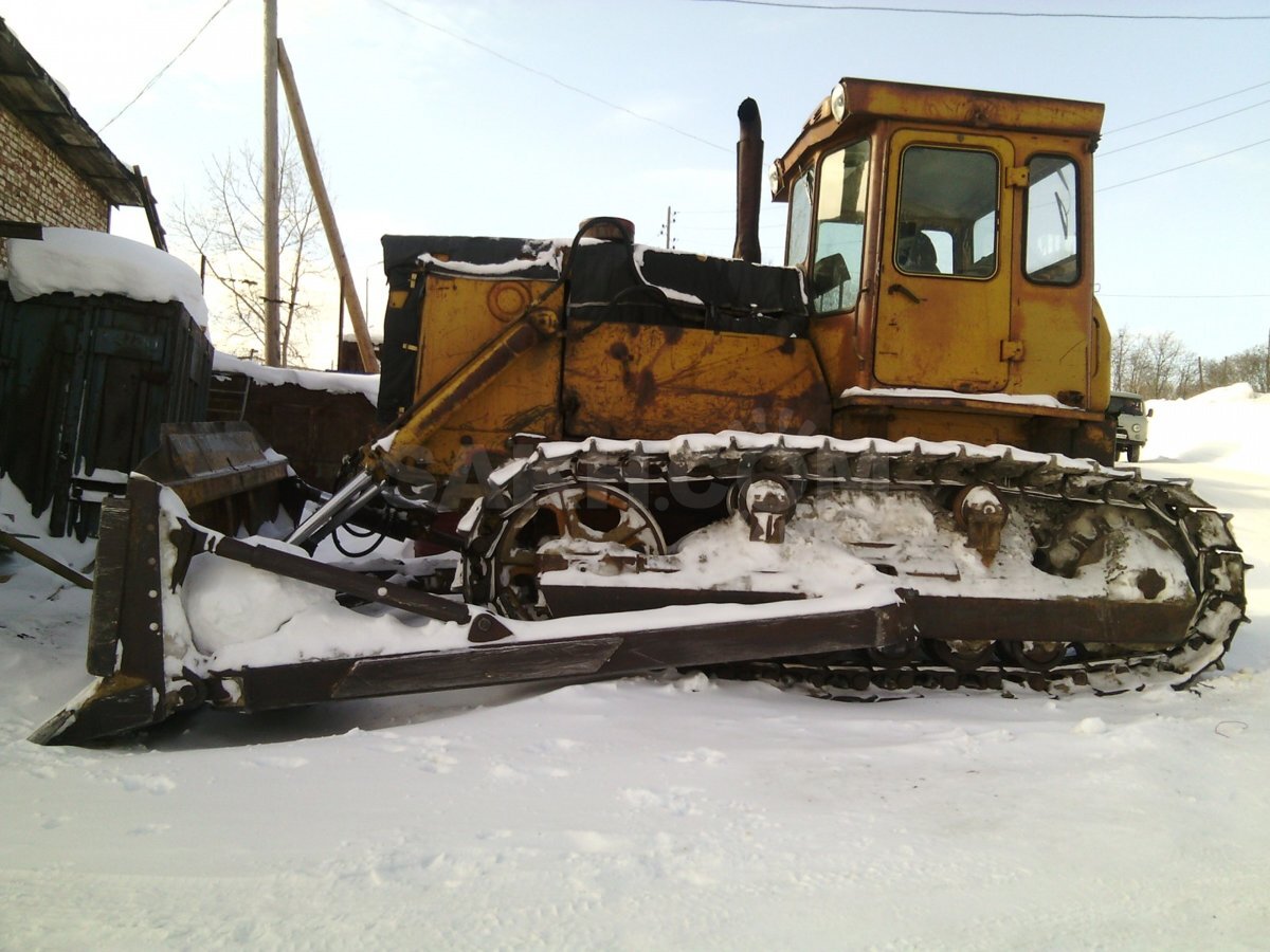 (фото из интернета)