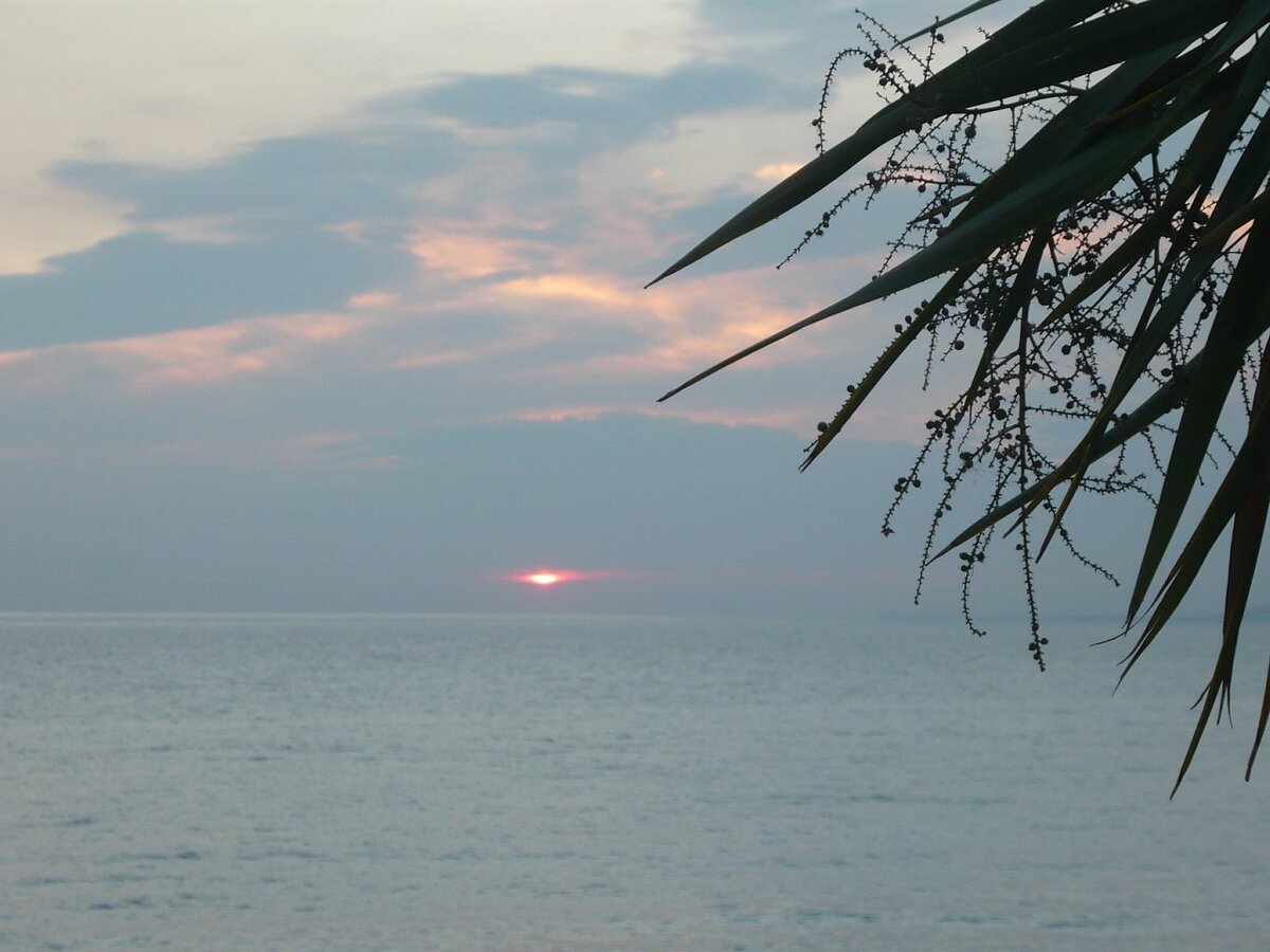 фото из личного архива