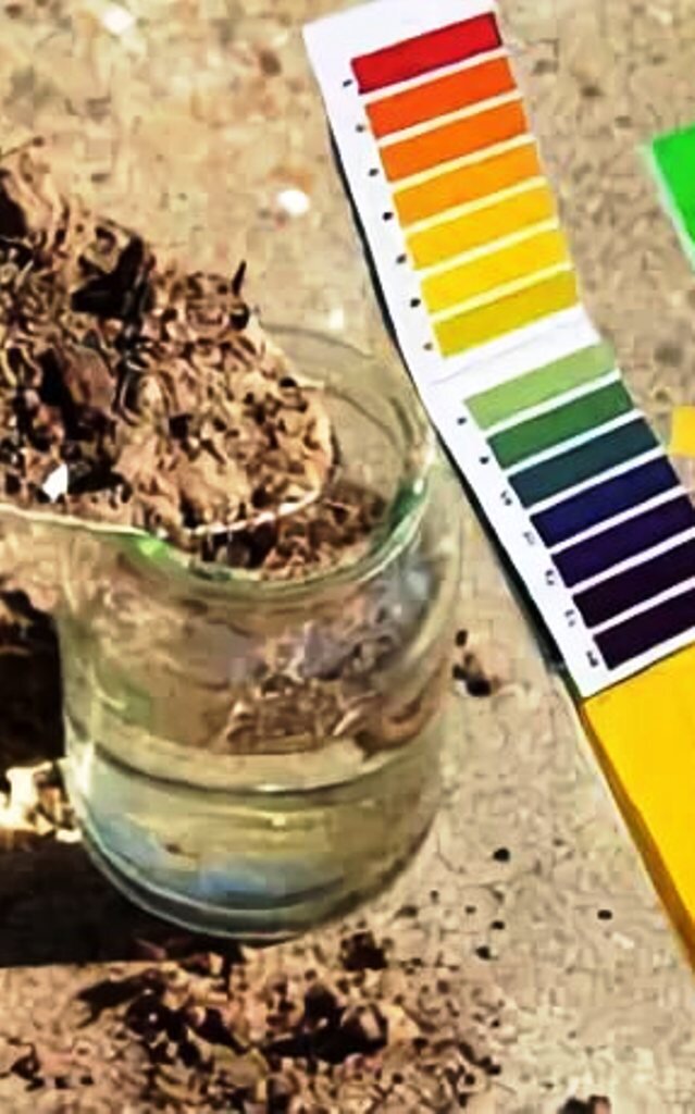 Кислая почва на огороде что делать. Растения индикаторы кислотности почвы. Кислотность почвы. PH супесчаных почв. Определить кислотность почвы.