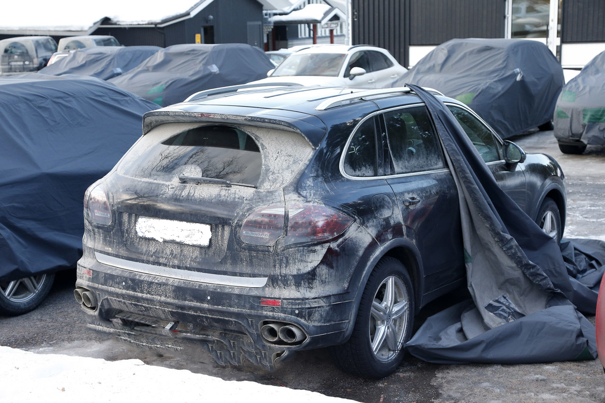 Фото взято с Яндекс Картинок