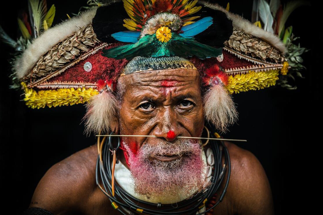 Вождь племени