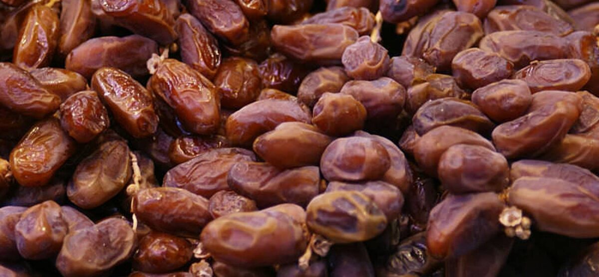 Финики — хлеб пустыни и пенсионеров