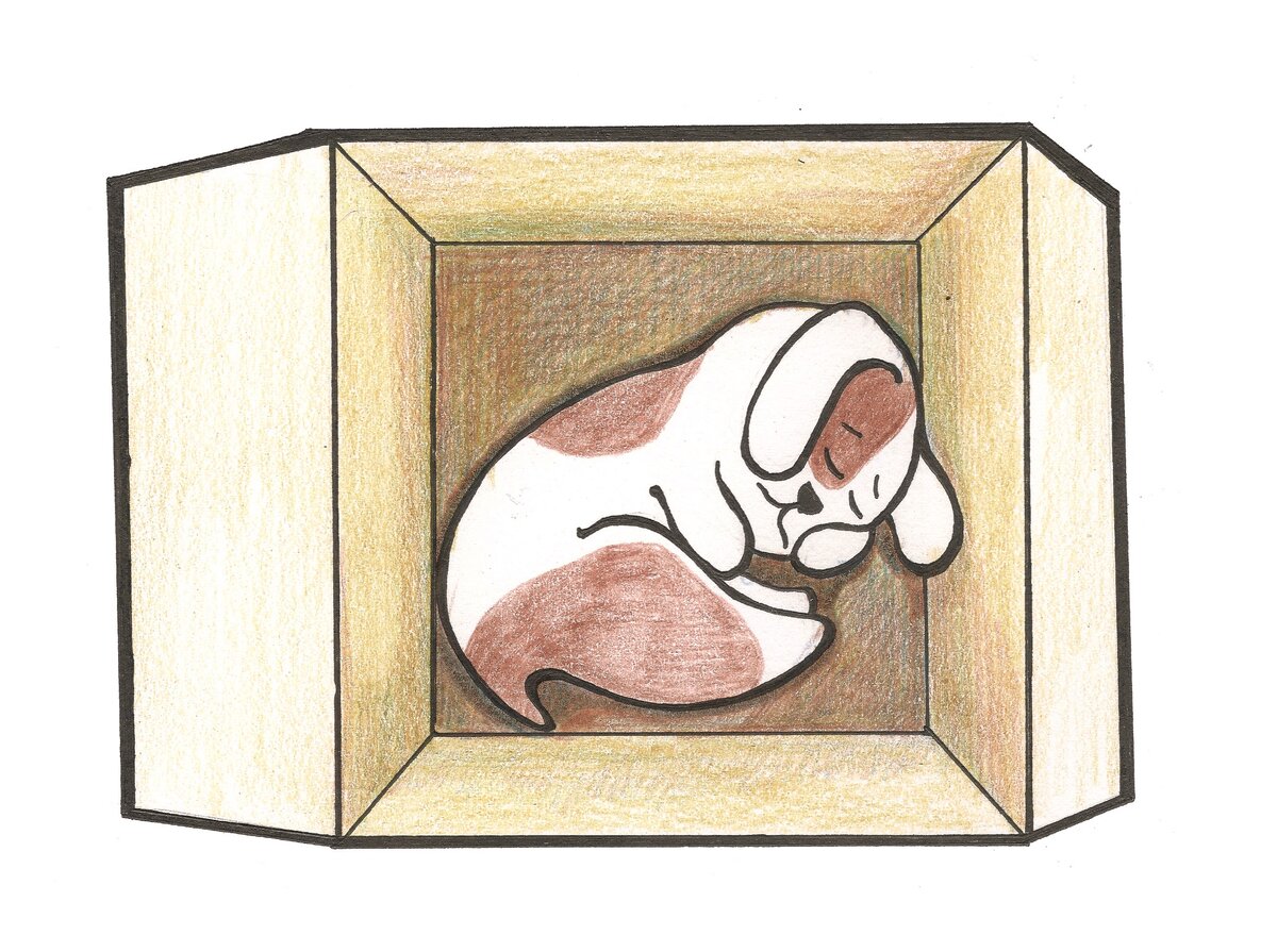 Иллюстрация My Child's Adventure  