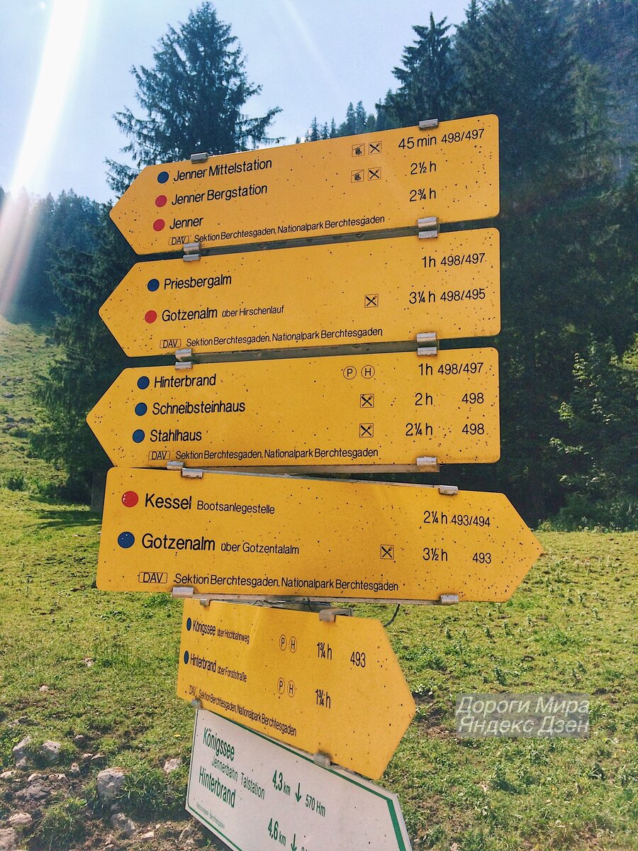 Развилка в национальном парке Берхтесгаден (Berchtesgaden), Германия