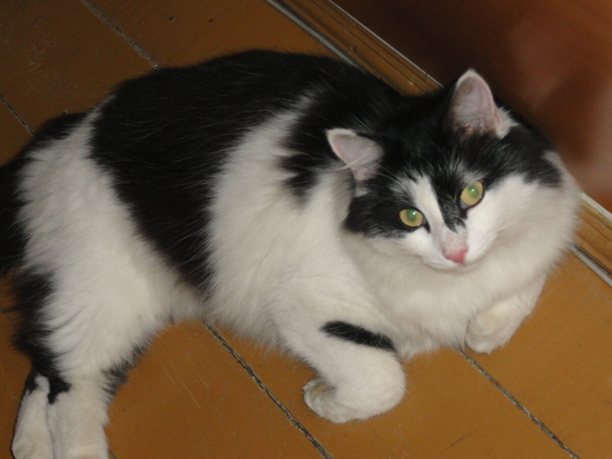 А если это  было  признание?