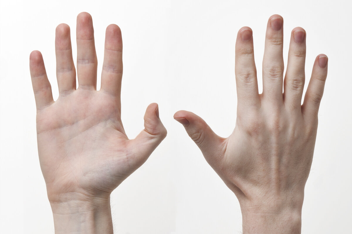 Ученые: сексуальная ориентация связана с разницей в длине пальцев