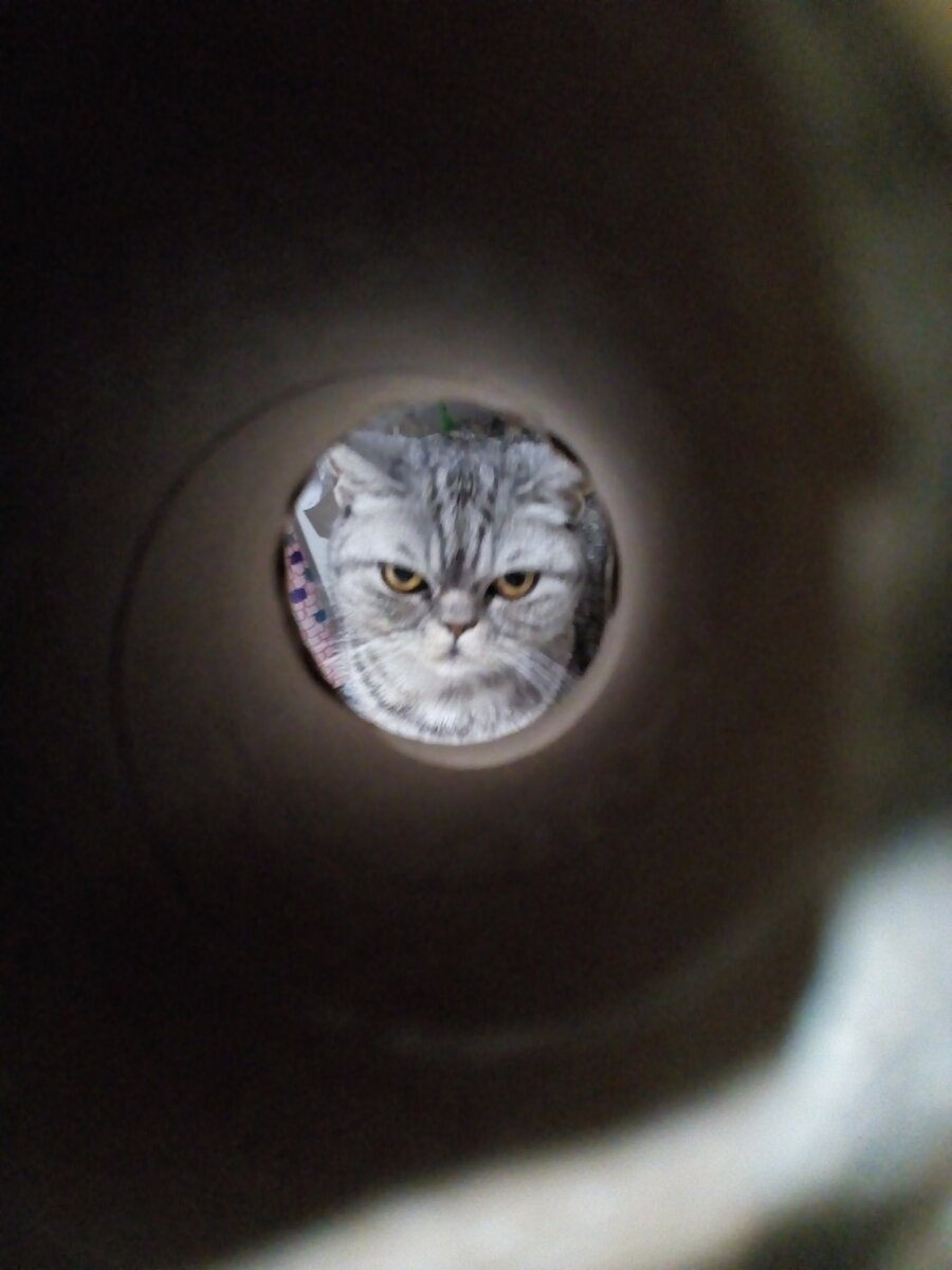 Фото из личного архива