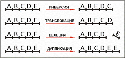 -4