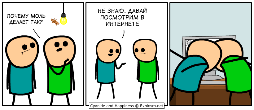 Бонус-GIF