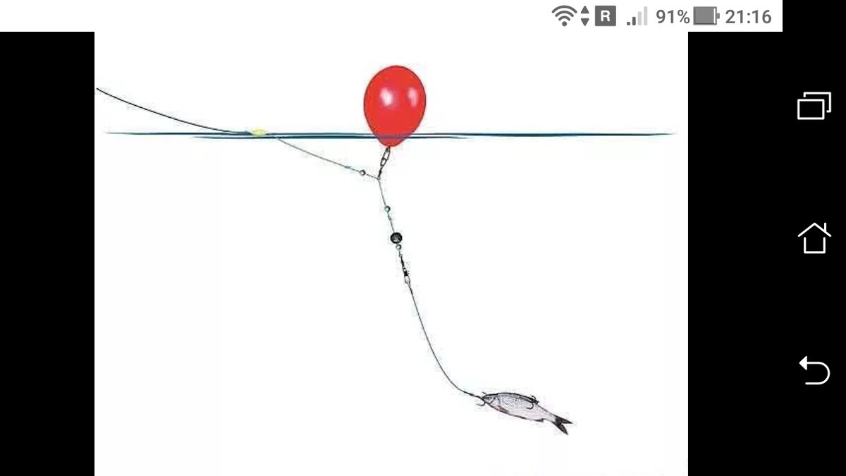 фото Шарик для ловли рыбы: схема снасти + монтаж