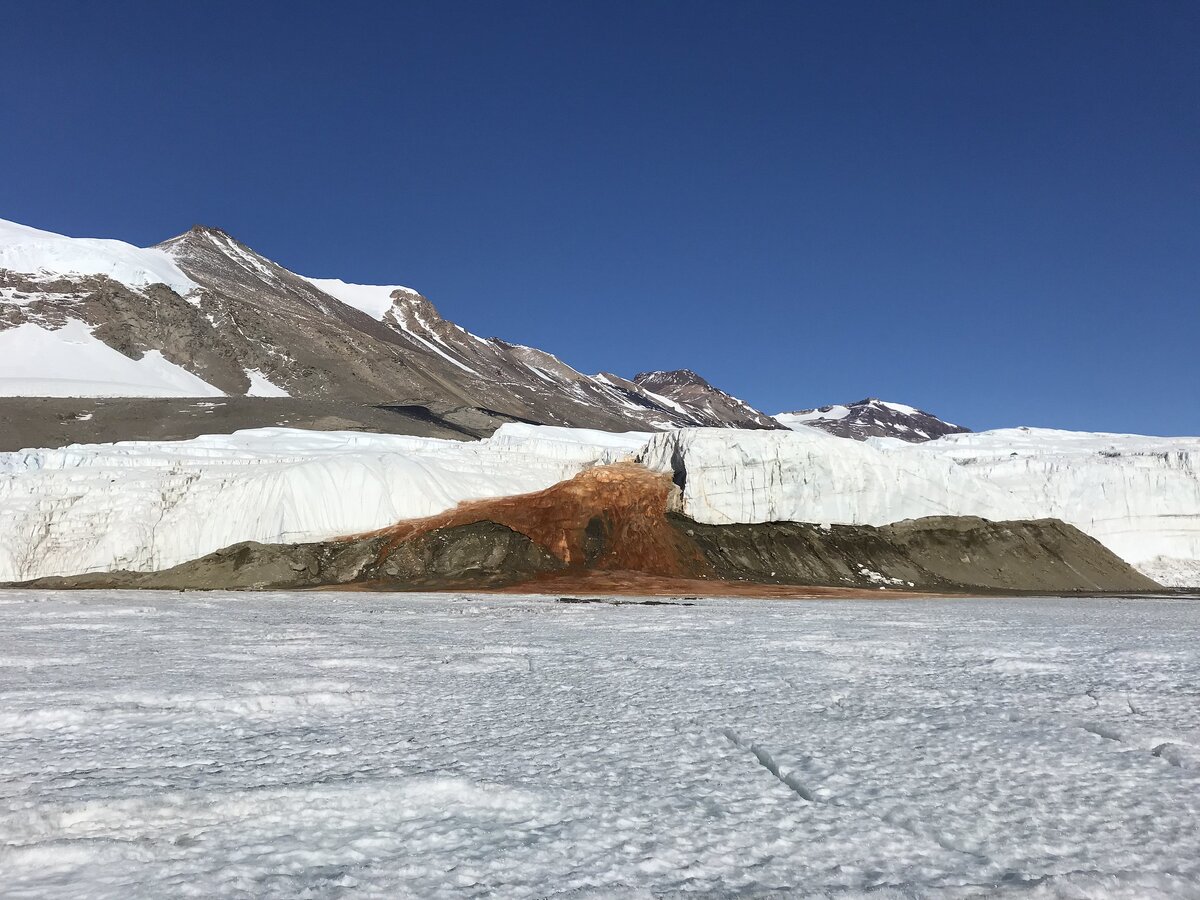 Источник фото: www.flickr.com