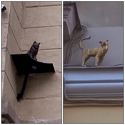 скульптуры кота Елисея и кошки Василисы