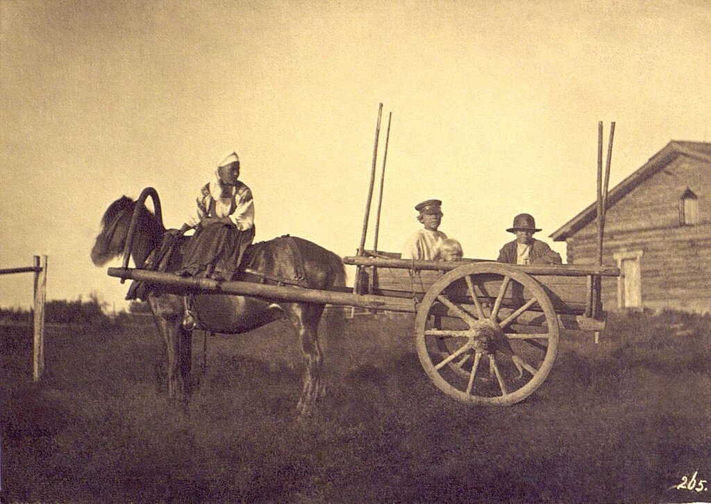 Крестьяне в двуколке
Неизвестный автор, 1860-е, Санкт-Петербургская губ., Кунсткамера. 