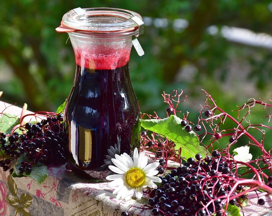 https://pixabay.com/photos/elder-elderberries-berries-juice-2652601/