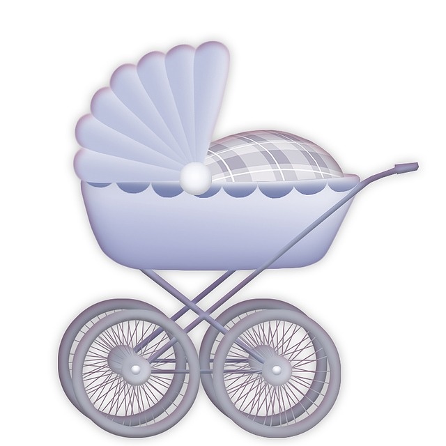 https://pixabay.com/ru/illustrations/%D0%BA%D0%BE%D0%BB%D1%8F%D1%81%D0%BA%D0%B8-baby-%D1%80%D0%BE%D0%B6%D0%B4%D0%B5%D0%BD%D0%B8%D0%B5-482326/