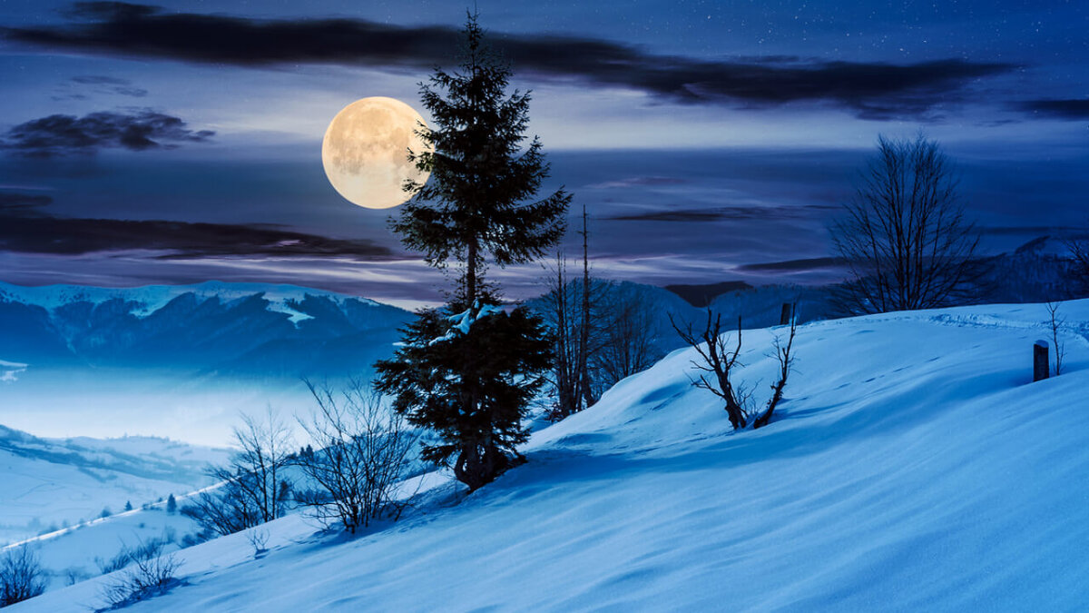 Картина зимняя ночь полная Луна сани
