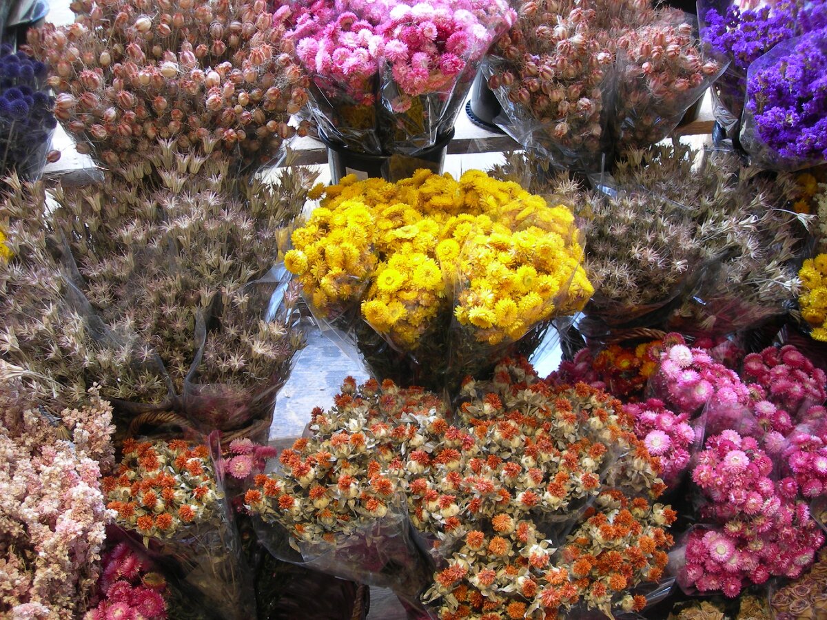 Снимок из личного архива.