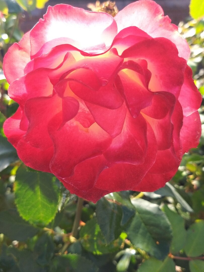 *                                                                                               Фото автора статьи