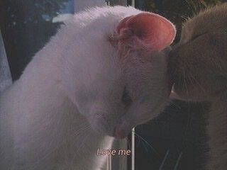 Любовная любовь. 