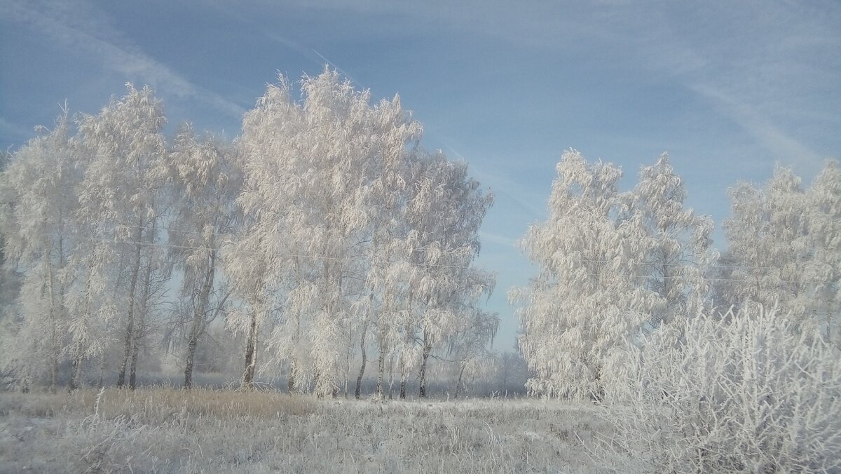 Личное фото