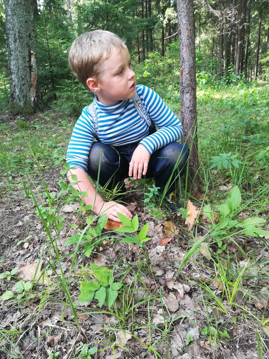 У нас младшим сыном много общего - мы не любим утренники.
Я не люблю утренники по той же причине, почему не люблю Новый год, дискотеки, клубы и свадьбы. 