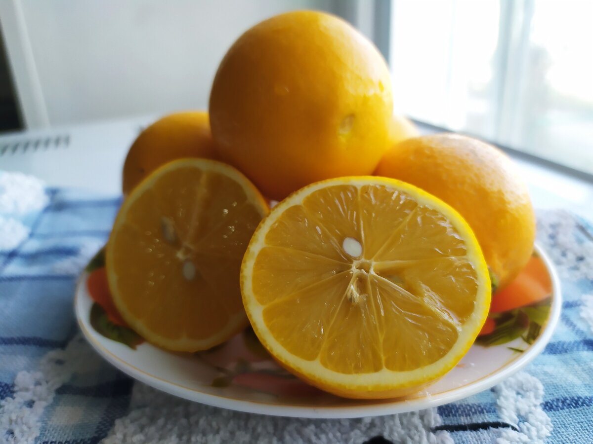 Free Image on Pixabay - Lemons, Lime, Limes, Citrus Fruits Plant therapy essenti