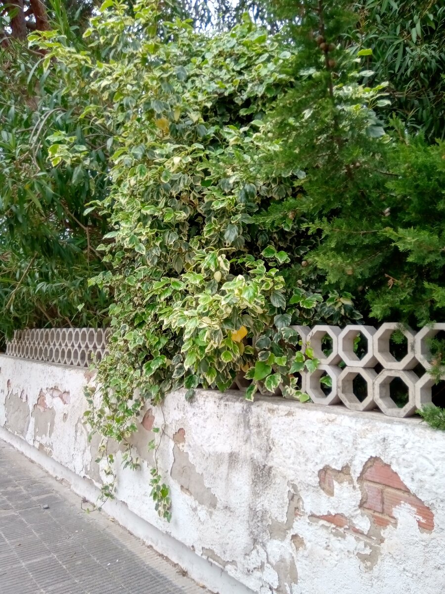 За этой оградой жилой дом