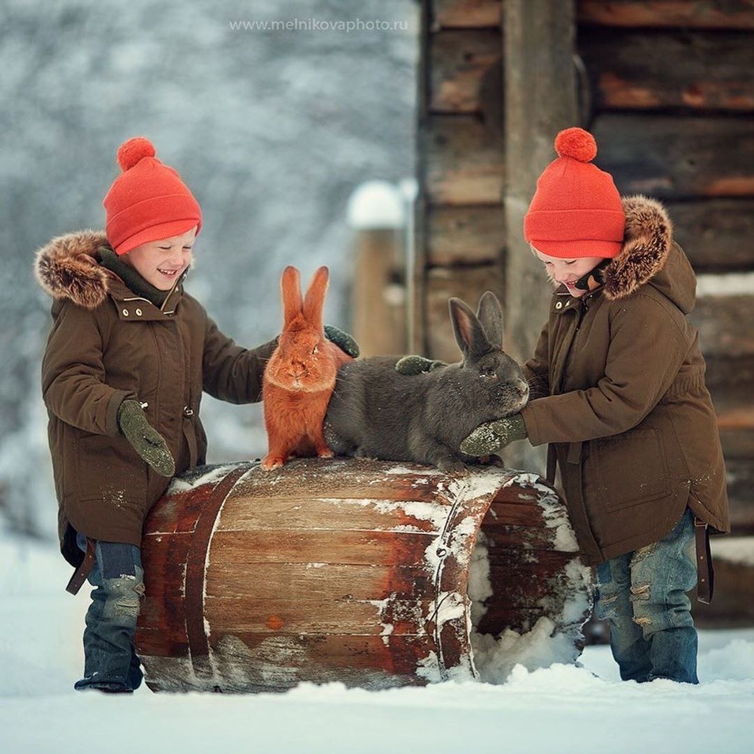 Фото - Анны Мельниковой