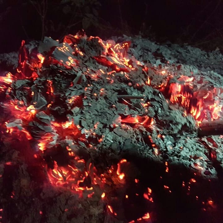 Я собрала все бумаги и сожгла их в пепел...