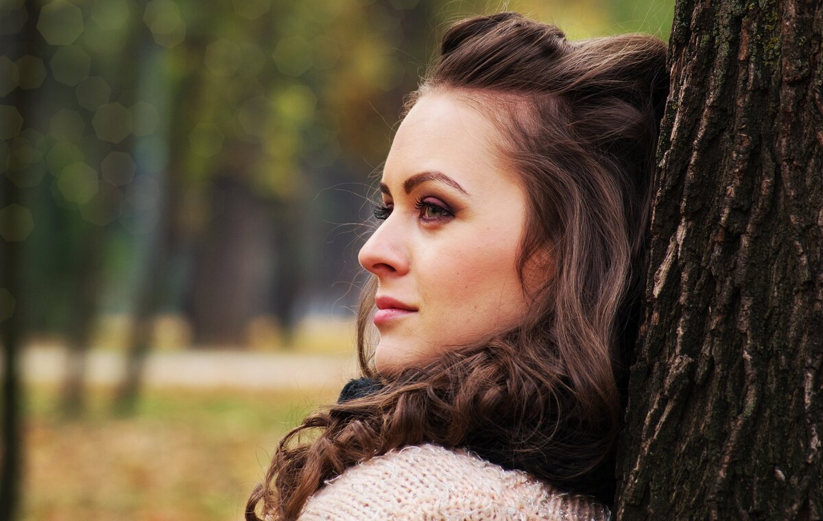 Источник фото: https://pixabay.com/ru/photos/     Изображение DanaTentis с сайта Pixabay 