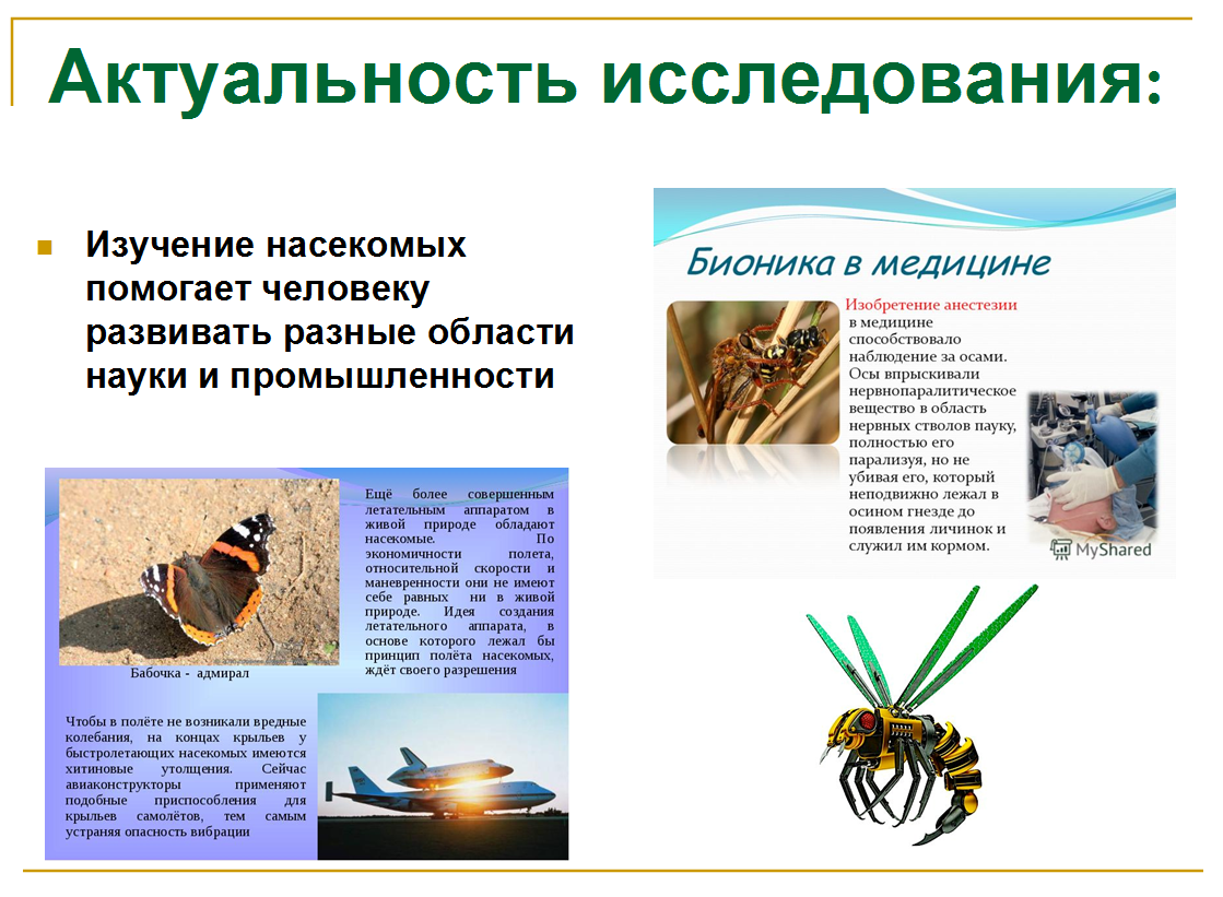 Что общего у бабочки и автомобиля? (Результаты детского исследования. Часть  1. Теоретическая) | Мария Рачинская | Дзен