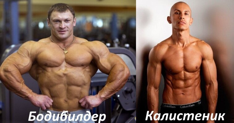 Форма бодибилдера и калистеника. Фото взято с сайта: tobe-fit.ru