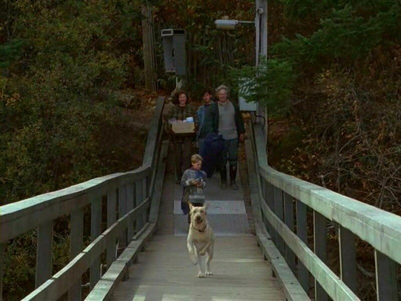 Кадр из фильма «Приключения Жёлтого пса» 