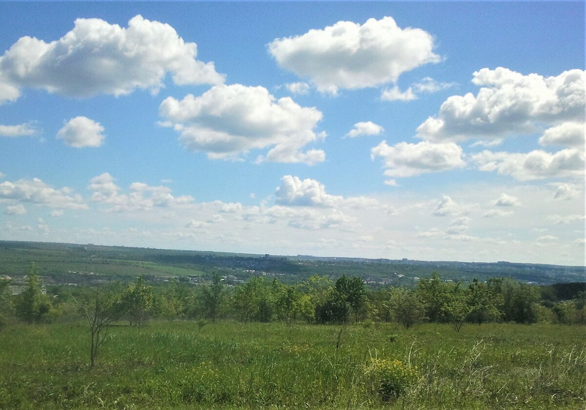 Это часть поля