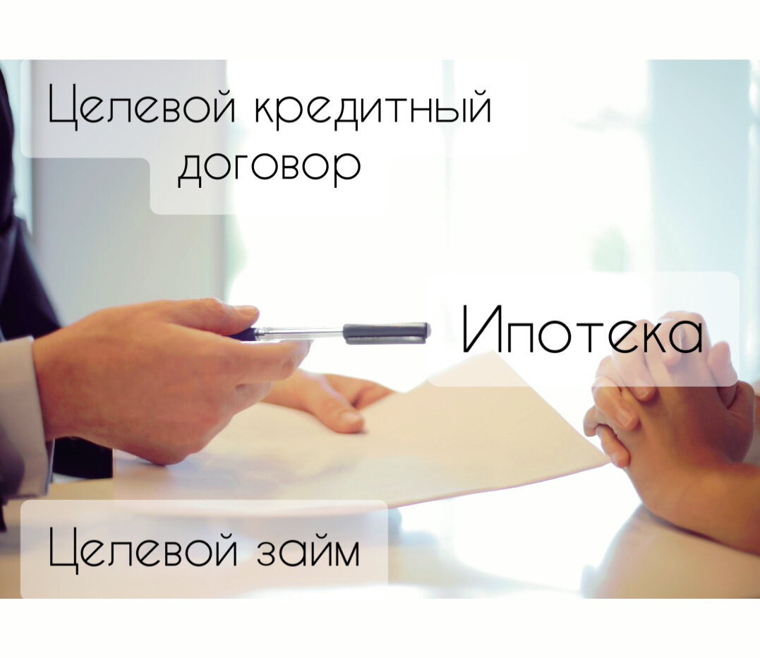 Картинка канала Мудрый Кэтик 