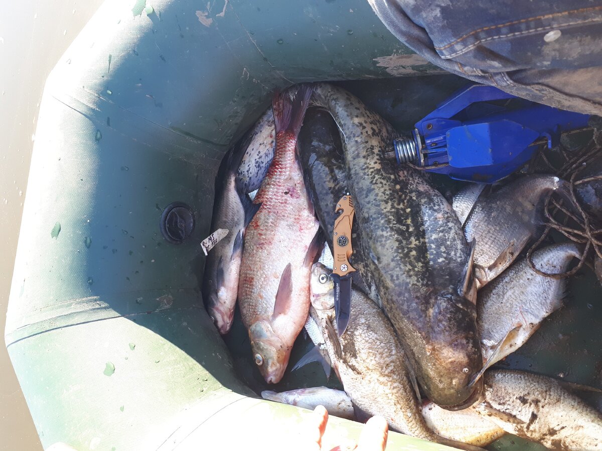 Река Белая, Кушнаренково.