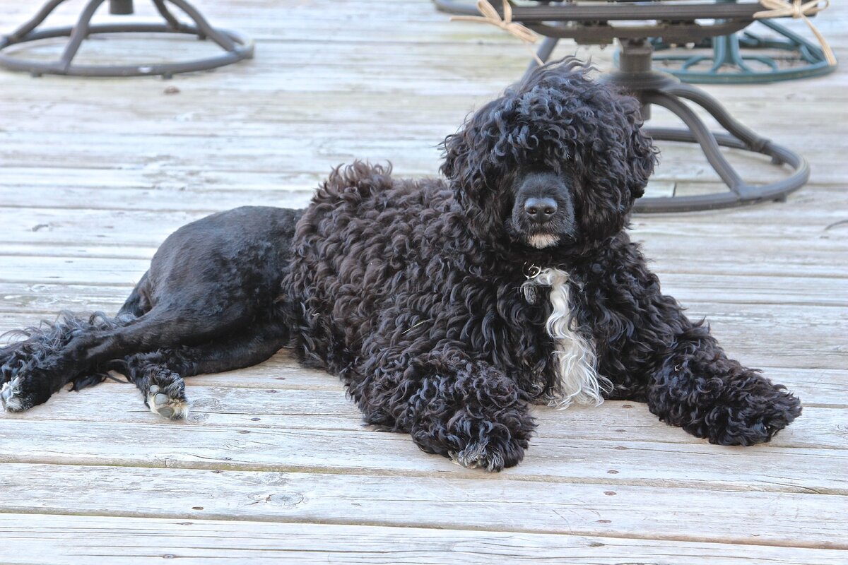 Источник https://www.pinterest.ru/pin/349803096036811507/?amp_client_id=CLIENT_ID(_)&mweb_unauth_id=%7B%7Bdefault.session%7D%7D