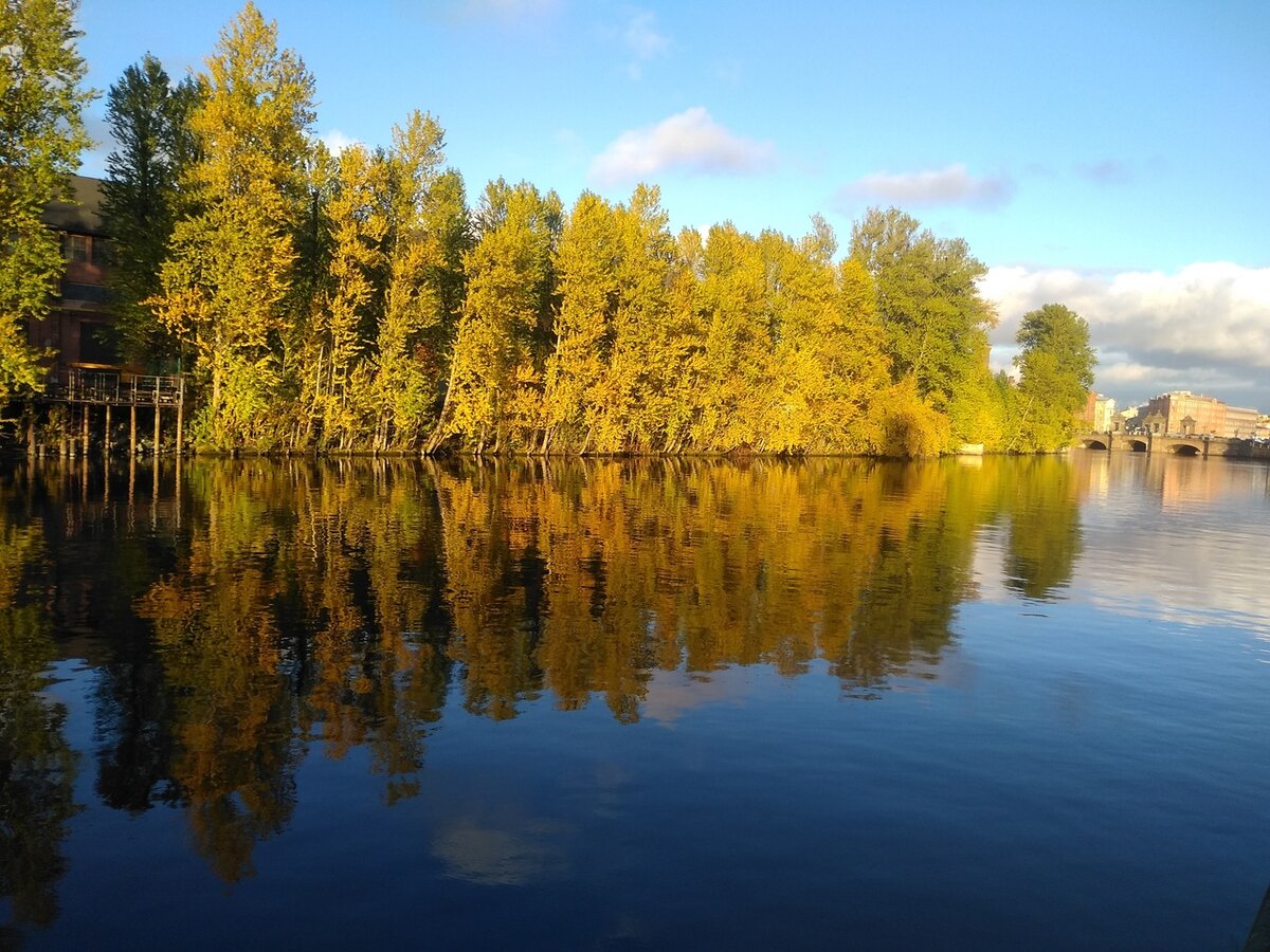 На улице прекрасная погода, а я сижу дома....