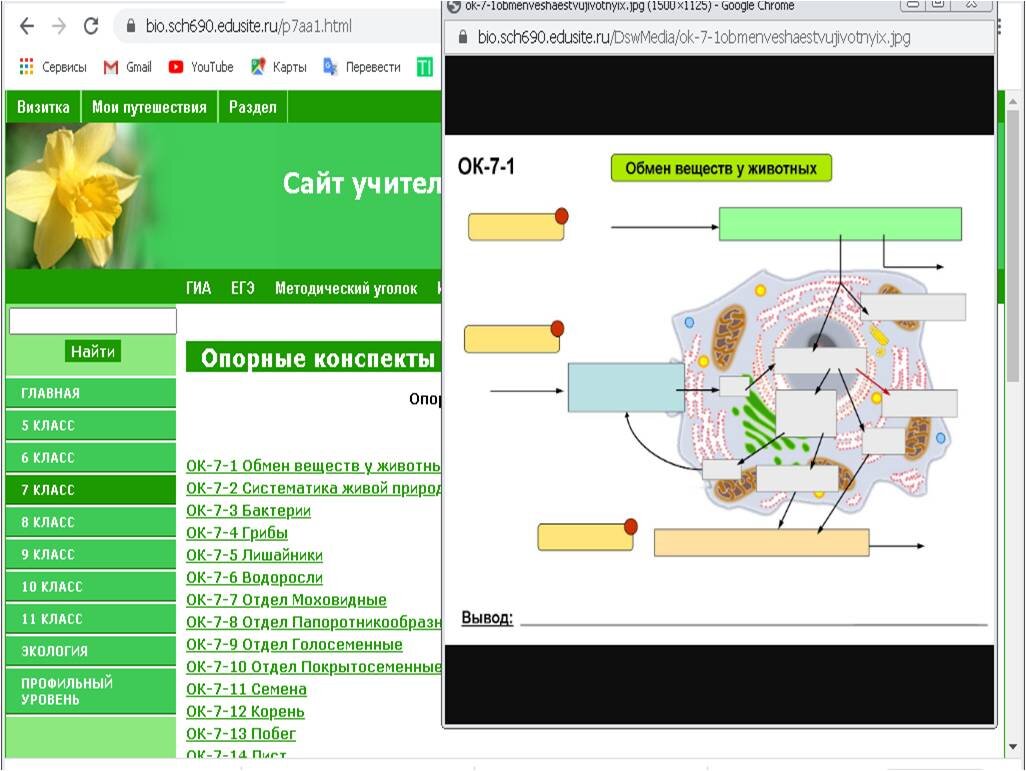 Как вести конспекты: идеи оформления, методы и способы конспектирования