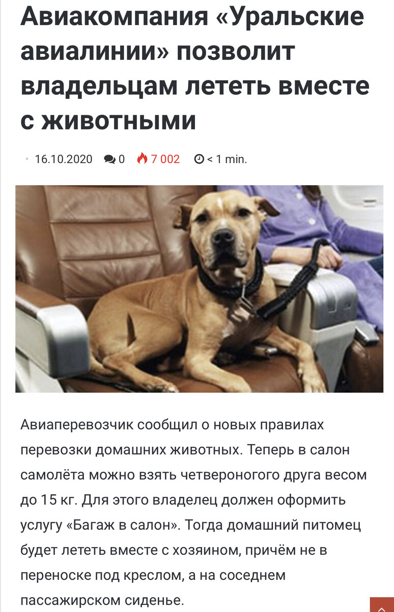 Скрин заявления Портала Зооинфо. Ссылка выше