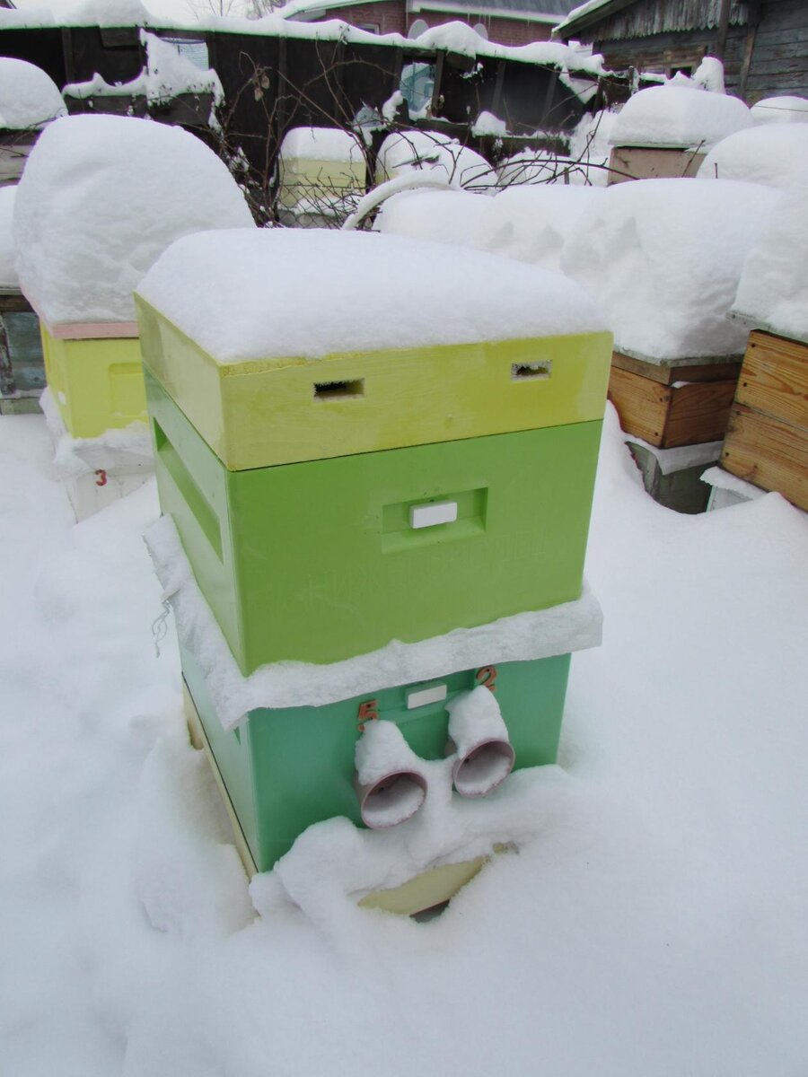 улей ППУ Нижегородец, зимовка на воле