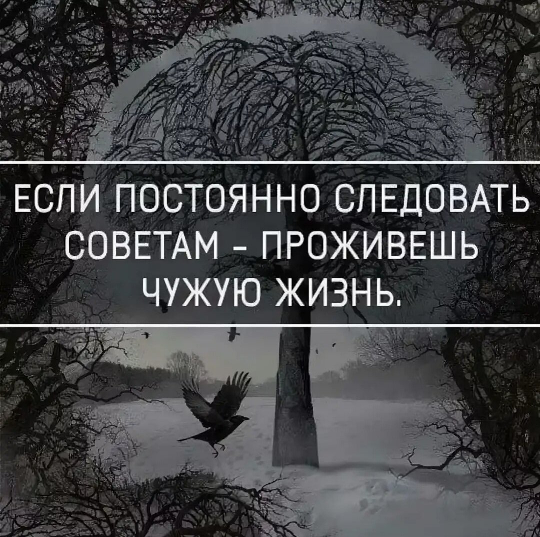 Следуя чужим советам, вы проживаете чужую жизнь. Как советчики запускают  колесо Сансары. Методика поиска истинных ответов | Elena Regul | Дзен