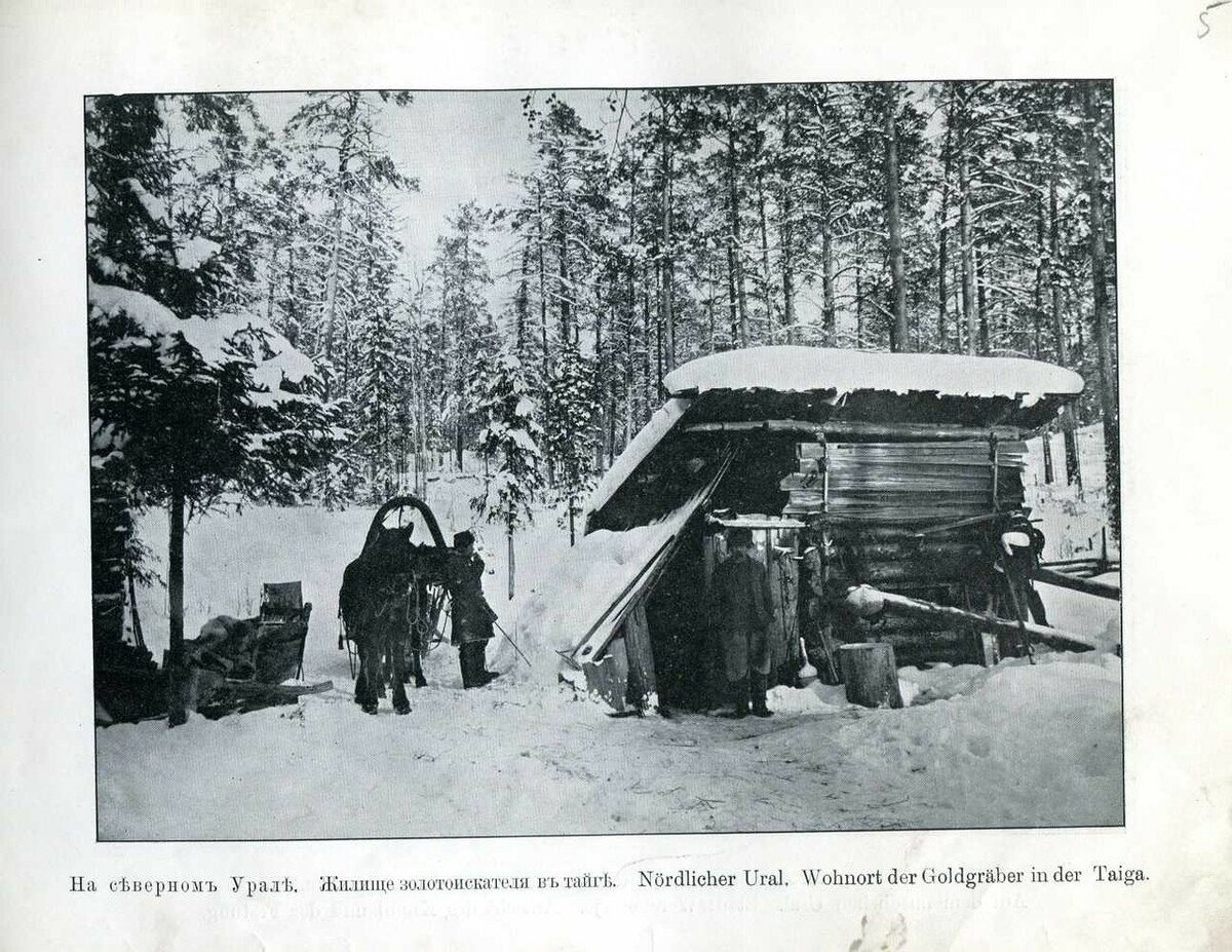 фото из свободных источников