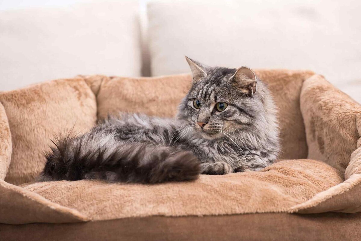 Фото из Интернета.