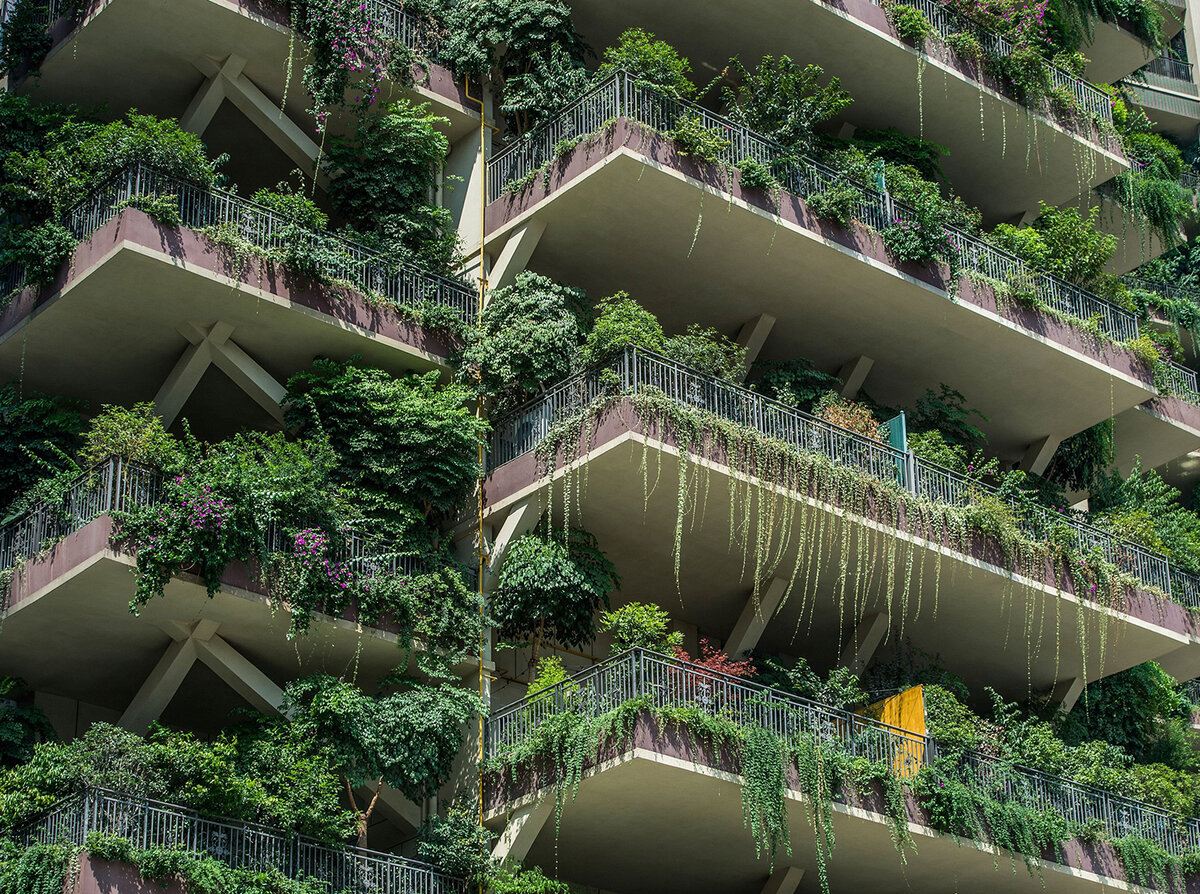 фото из интернета